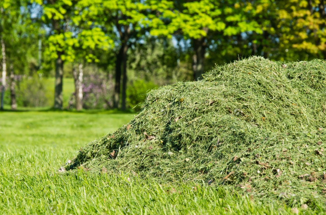 Lawn care professional mowing a lawn