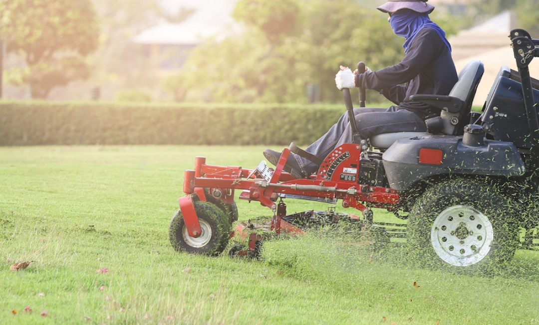 gras cutting